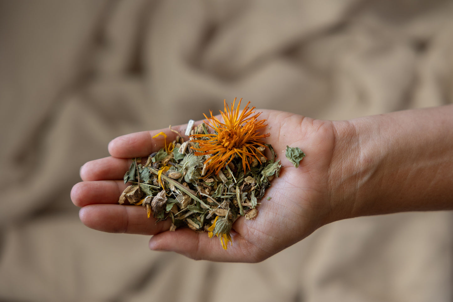 Remedy - Echinacea & Ginger Organic Tea Loose Leaf 90g