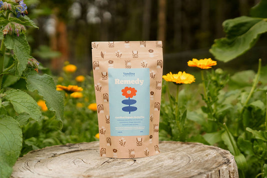 Remedy - Echinacea & Ginger Organic Tea Loose Leaf 90g